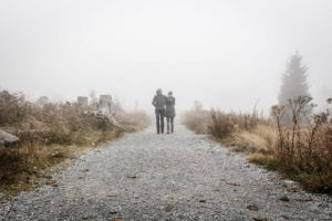 People walking in cutdown forest