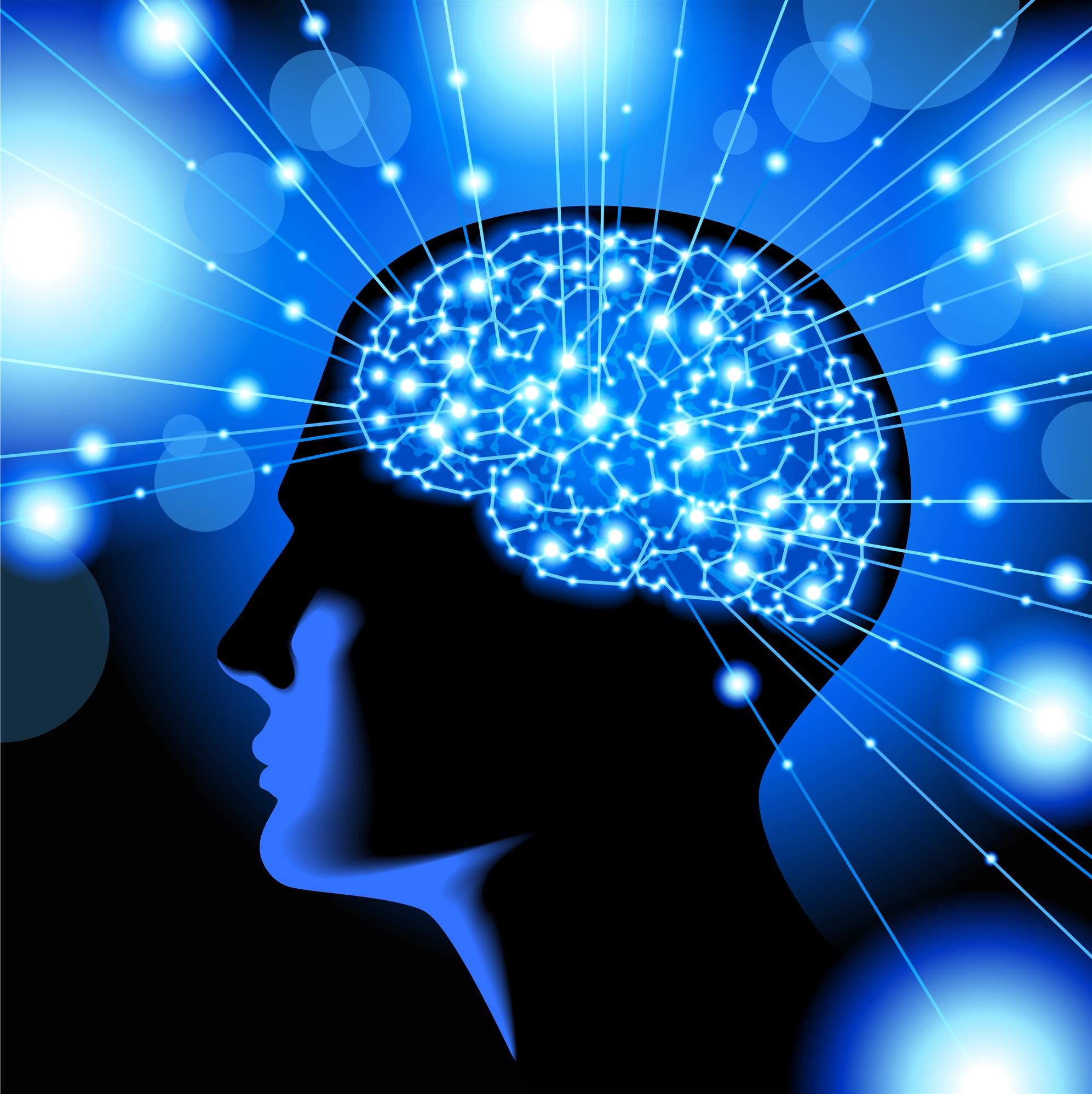 The Effects Of Drugs On The Human Brain Bluecrest Recovery Center