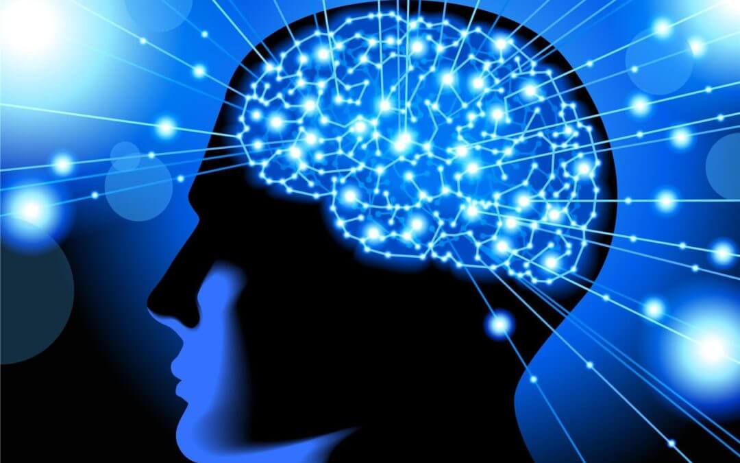 The Effects of Drugs on the Human Brain